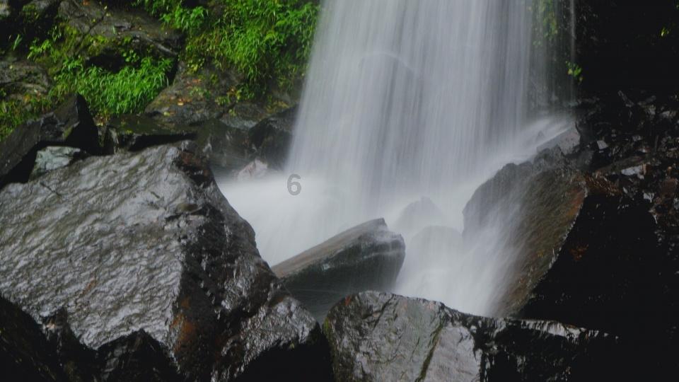 海岛大亨5